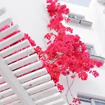 Harmony ホテル Sarandë