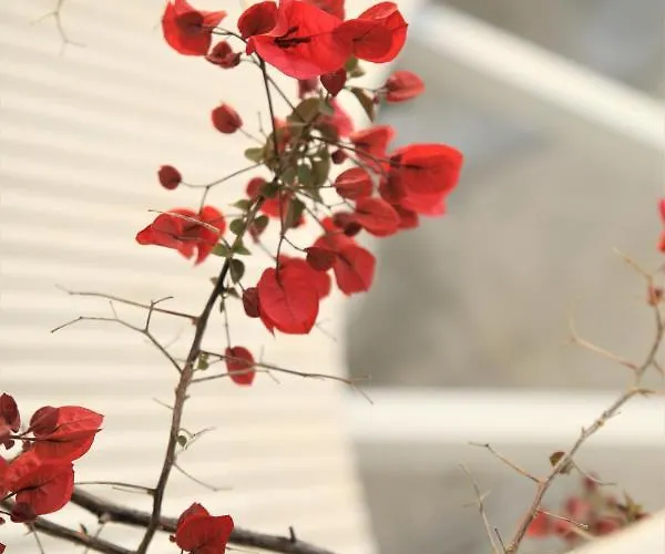 Hotel Harmony Saranda