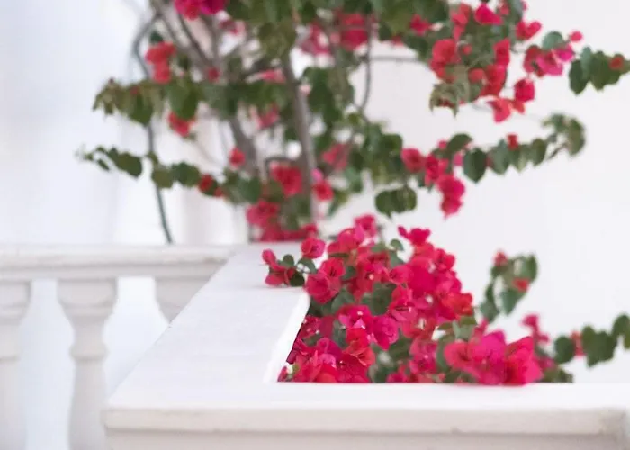 Hotel Harmony Saranda