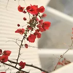 酒店 华美伦酒店 Sarandë