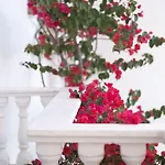 酒店 华美伦酒店 Sarandë