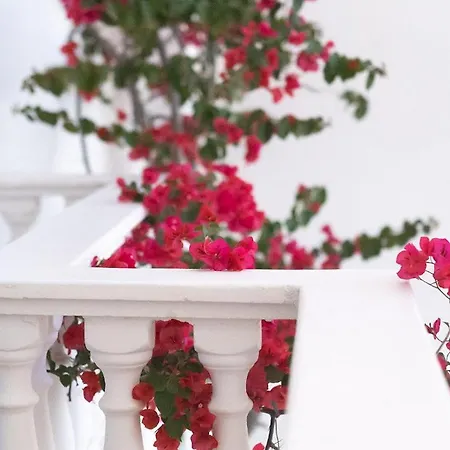 Hotel Harmony Sarandë